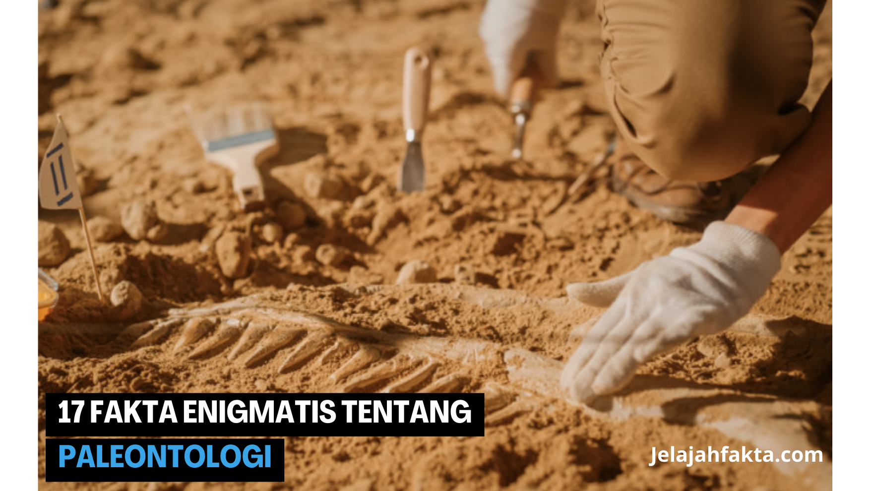 17 Fakta Misterius Tentang Paleontologi